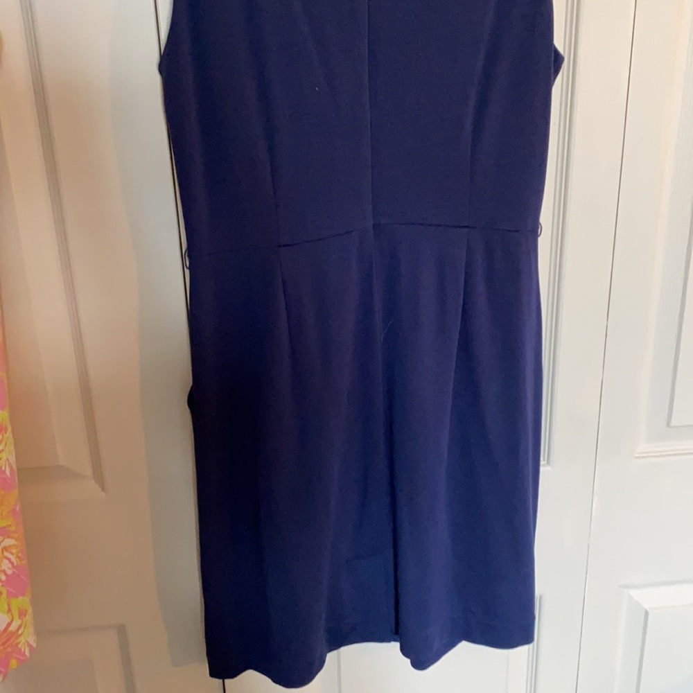 Lilly Pulitzer Dress - Picture 3 of 5